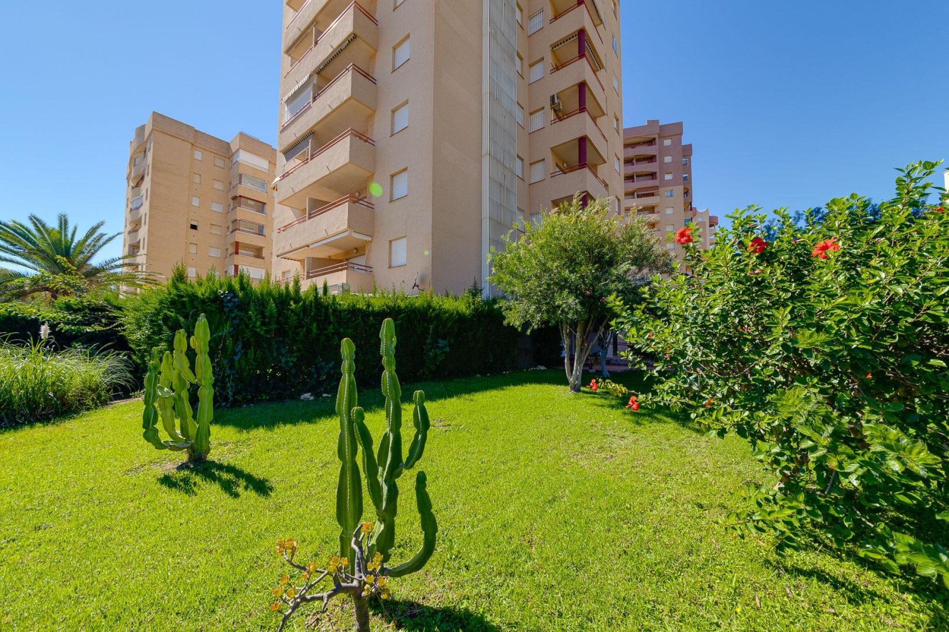 Wiederverkauf - Wohnung -
Orihuela Costa - Campoamor