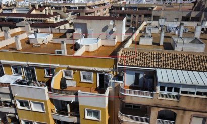 Wohnung - Wiederverkauf - Torrevieja - Acequion