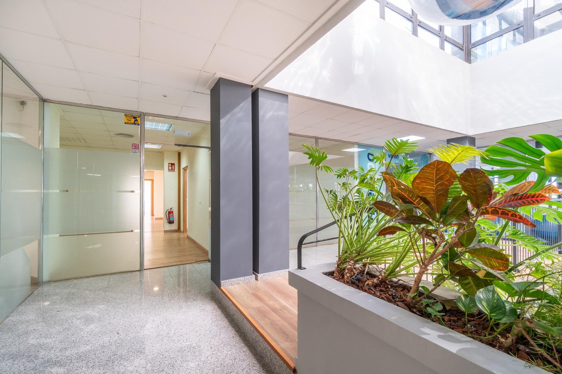 Wynajem długoterminowy - Reklama w telewizji -
Orihuela Costa - Playa Flamenca